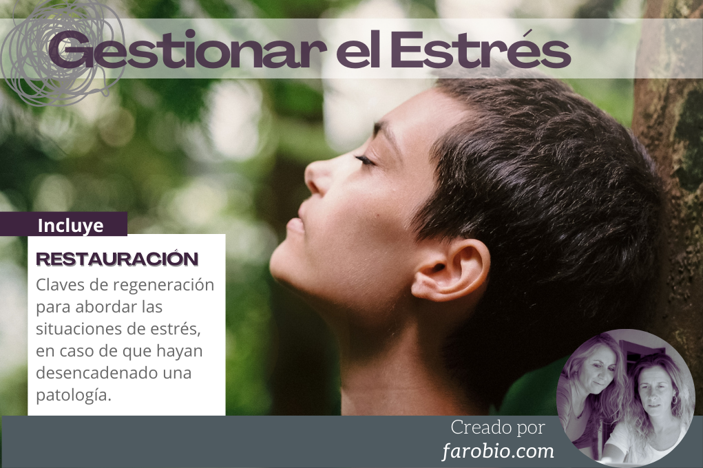 Estrategias Emocionales para estas Fiestas