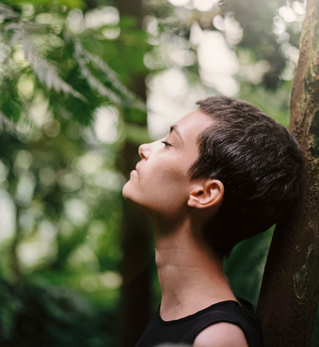 Estrategias Emocionales para estas Fiestas